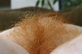 Thread: Wow, that's a hairy pussy