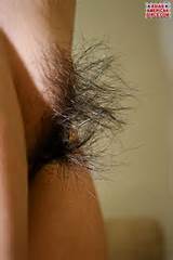 Wild Furry Asian American Pussy Close Up