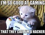 Pussy Gamer - #cats, #pets, #animals, #funny, #lol, #humor, #jokes, # ...