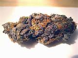 Purple Princess Marijuana Strain Review