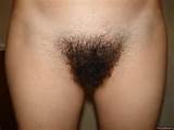 Cunt Bush Really Hairy Nude Female Photo