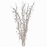 Pussly Willow Branches For Sale