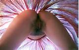 upskirt 44 hairy 171 pussy 1506 upskirt hairy pussy tinfoilhatguy