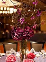 ... centerpieces using our fresh or dried curly willow fantail willow