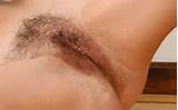 Hairy Pussy Sex