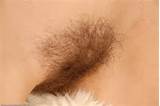 images of All Natural Atk British Hairy Pussy And
