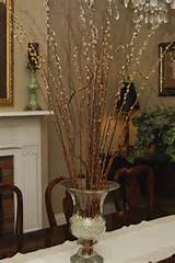 Pussy Willow for winter arrangement