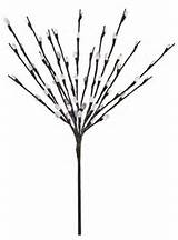 Floral Lights Lighted Pussy Willow Branch with 60 Bulbs, 20 inches