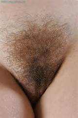 abby winters hairy pussy close up