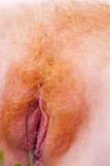 Blonde hairy pussy; Unshaven Pussy