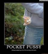 motivational_pocket-pussy