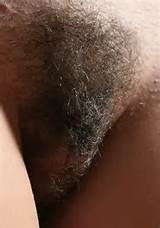 ... porn naked hairy pics she is hairy hairy pussy naked porn caption
