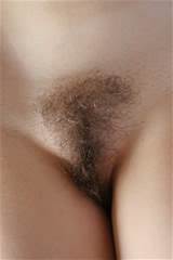 Description Pubic Hair Female.jpg