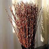 240 pussy willow branches bale of 20 bundles each with 12 branches per ...