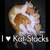 katstacks.jpg