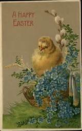 Easter Chick Pussy Willows Blue Flowers Embossed Greeting c1910 Old ...