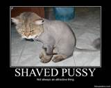 Shaved Pussy - Demotivational Poster