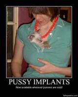 Pussy Implants - Demotivational Poster