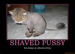 SHAVED PUSSY pussy shaved vagina cat