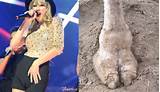 StylinsonLoverr : 2 pics of Taylor Swift's vagina or 2 pics of actual ...