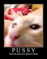 Pussy - Motivational Poster