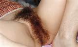 Super hairy Pussy Close ups [25 pictures]