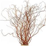 Home > DECORATIVE BRANCHES > Curly Willow Branches >