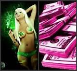 pussy money weed Image