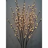 Lighted Pussy Willow Branches