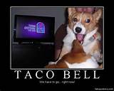 Taco Bell - Demotivational Poster