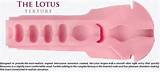 lotus Fleshlight masturbation sleeve