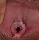 Sweet Hymen