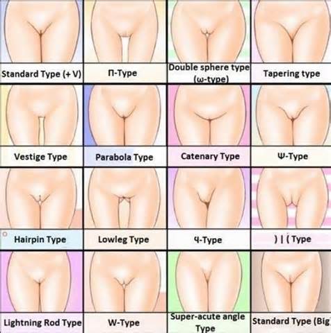 Isang Kadyot Lang Poâ€¦ - Different types of PEPE (vagina) hahaha!