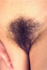 Hairy Pussy