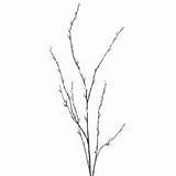 Artificial Pussy Willow | Need 3 to 4