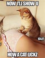 Pussy licking #cat #meme #sex #cunnilingus #pussy