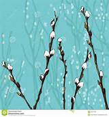 Beautiful pussy willow branches. Spring background.
