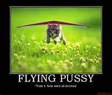 FLYING PUSSY - Thats it. Now were all doomed