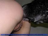 Zoo Se Huge Black Dog Licking Wet Teen Pussy And Ass
