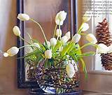 Tulip arrangement with pussy willow branches