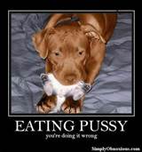 Eating Pussyâ€¦Doing It Wrong!!www.SimplyObnoxious.com