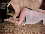 spanish girl fucking horse rottweiller dog fucked my cunt dog blow sex ...