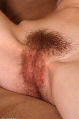 All Hairy Pussies Free Porn Pictures