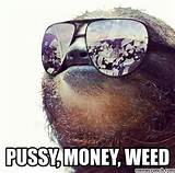 Sunglass Sloth - Pussy Money Weed Apr 30 19:28 UTC 2013