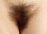 hairy pirate hairy cumholes hairy stars z hairy hairy place hq hairy ...