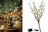 LED Lighted Branches - Pussy Willow Branch, Small