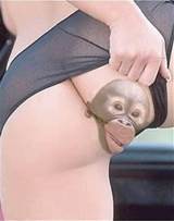 Monkey Pussy Tattoo