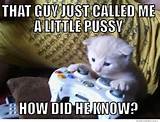 Gamer Cat meme â€“ That guy just called me a little pussyâ€¦