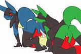 Image Lucario Porkyman