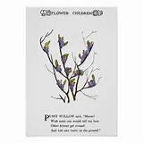 Pussy Willow Print & Poem-from Illustration in Elizabeth Gordon's ...